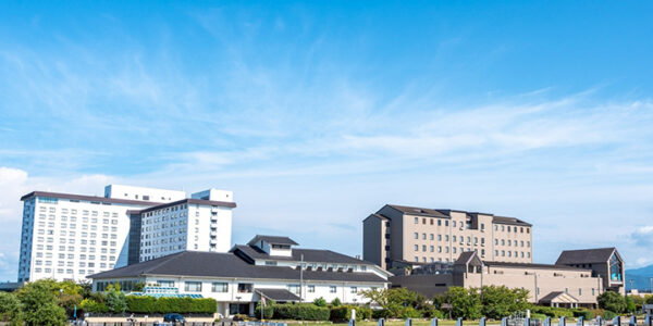 採用サイト制作 / サイトコンサルティング